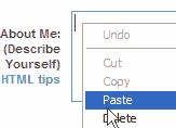 embed slideshow in friendster