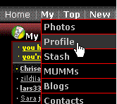 embed slideshow in fubar