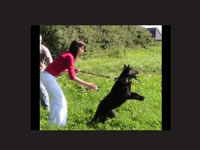 Photo slideshow created by topdog-training.com